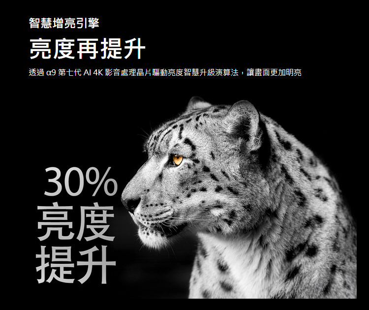 LG電視OLED42C4PTA LG電視OLED42C4PTA
