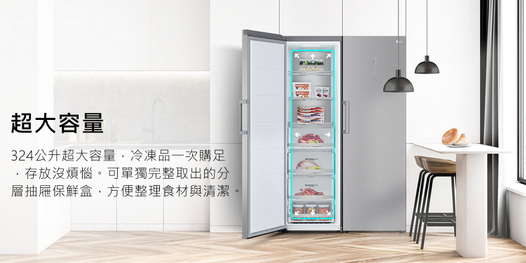 LG冷凍櫃GR-FL40MS