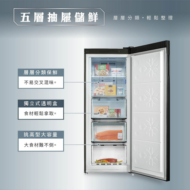 禾聯冷凍櫃HFZ-B1763FV