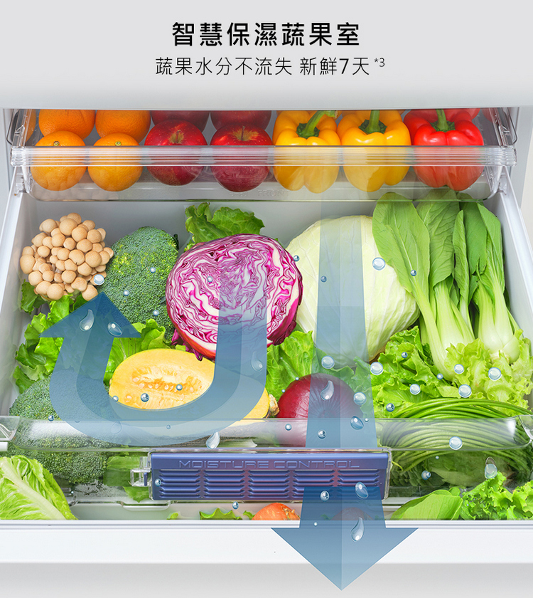 國際牌501L變頻六門冰箱NR-F509XT