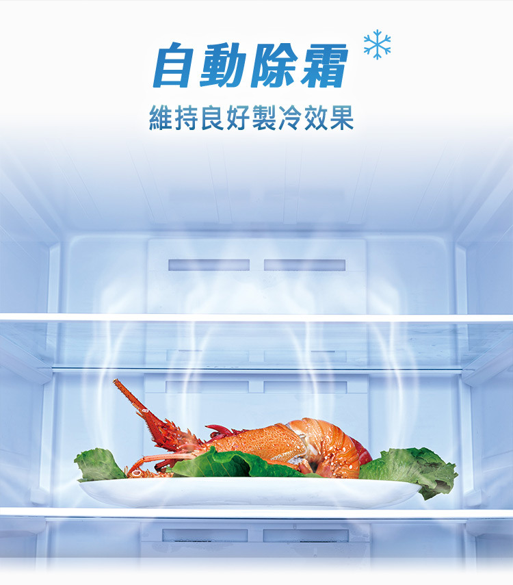 國際牌冷凍櫃NR-FZ383AV-S