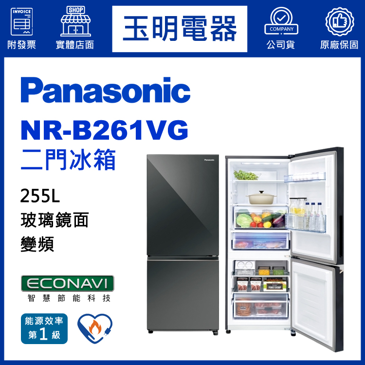 國際牌255L鏡面變頻二門冰箱 NR-B261VG